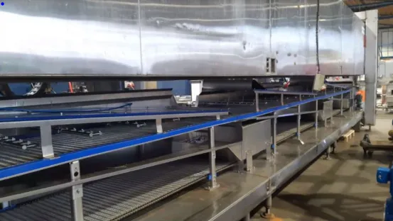 Tunel kriogeniczny CRYO TUNNEL-FP1 – HCSF