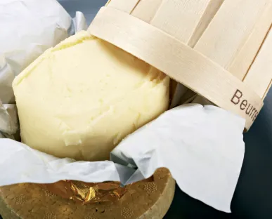 Gazy spożywcze dla mleczarstwa