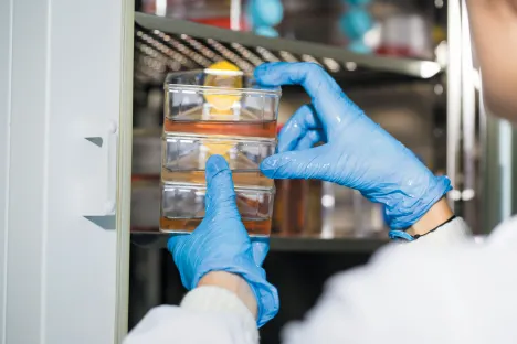 Gazy dla przemysłu farmaceutycznego