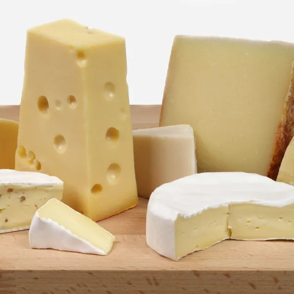 Gazy spożywcze dla serowarstwa