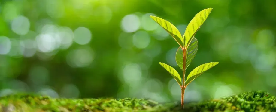 Inwestycje Air Liquide