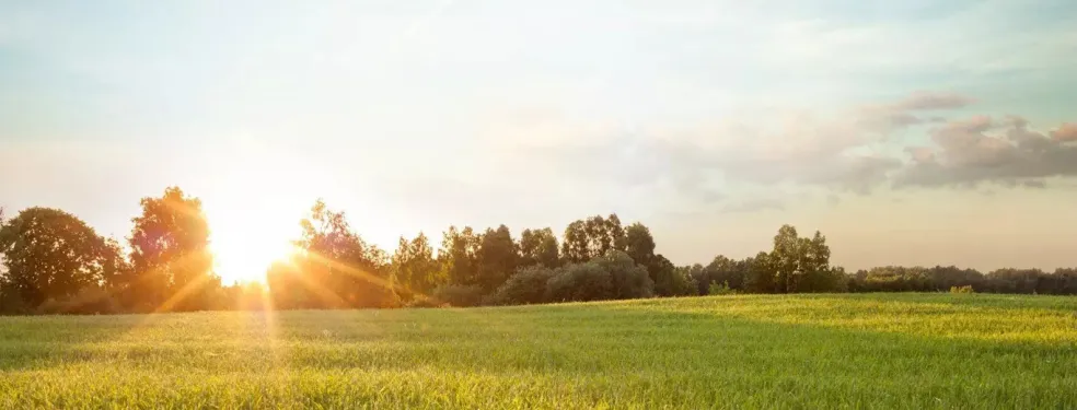 Zrównoważony rozwój